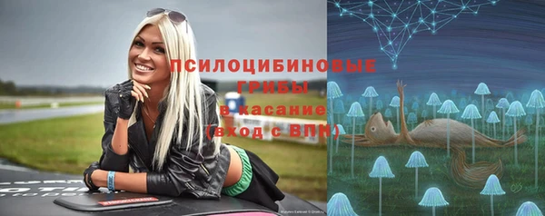 стафф Гусь-Хрустальный