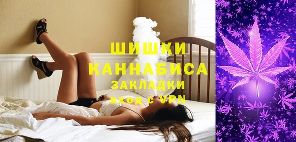 стафф Гусь-Хрустальный