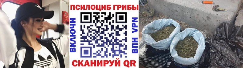 Галлюциногенные грибы мухоморы  как найти закладки  Жуковка 